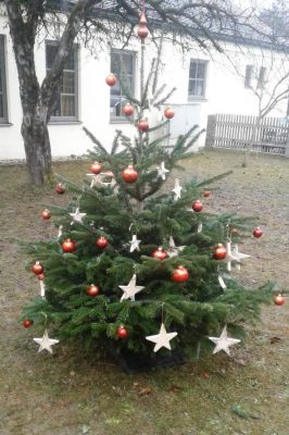 Weihnachtsbaum Klasse 4 - Pfarrgarten